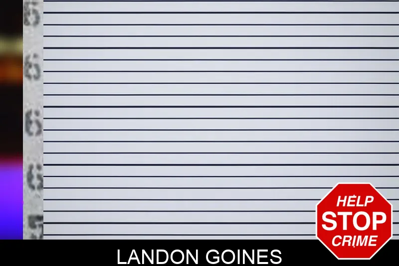 Landon Goines