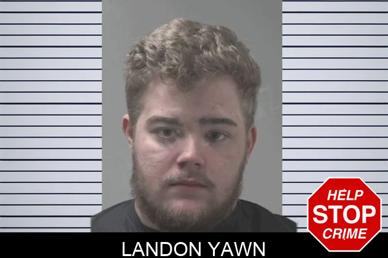 Landon Yawn mugshot