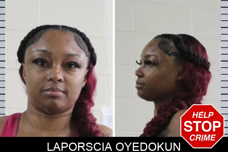 Laporscia Oyedokun mugshot – Houston County , Georgia Laporscia Oyedokun mugshot
