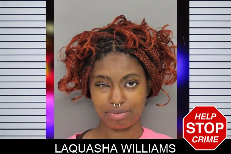 Laquasha Williams mugshot – Cobb County , Georgia Laquasha Williams mugshot