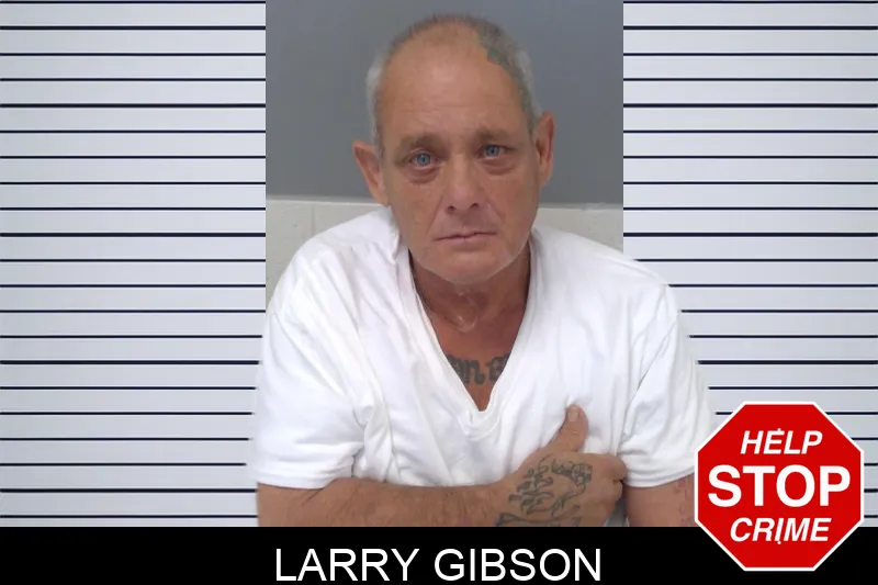 Larry Gibson Mugshots