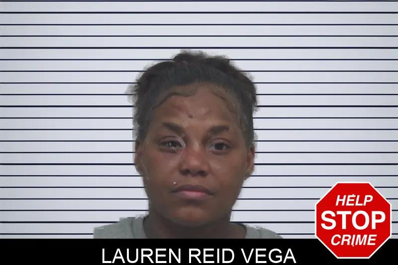 Lauren Reid Vega Mugshots