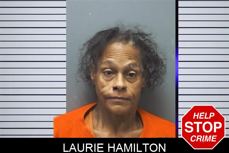 Laurie Hamilton mugshot