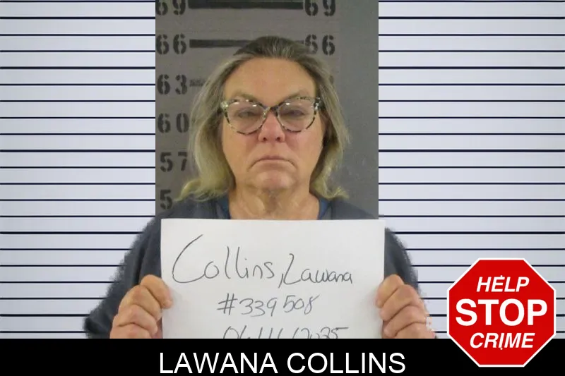 Lawana Collins Mugshots