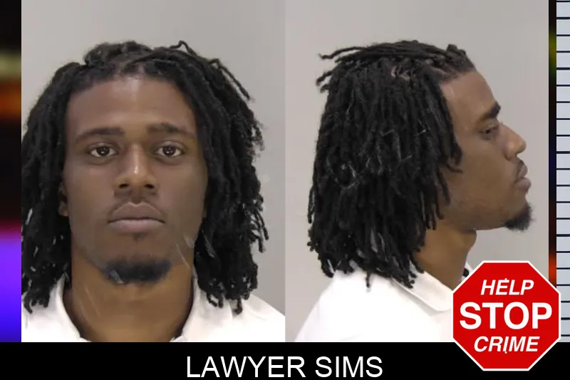 Lawyer Sims Mugshots