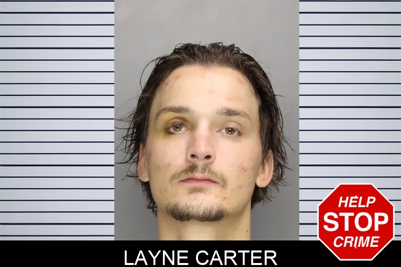 Layne Carter Mugshots