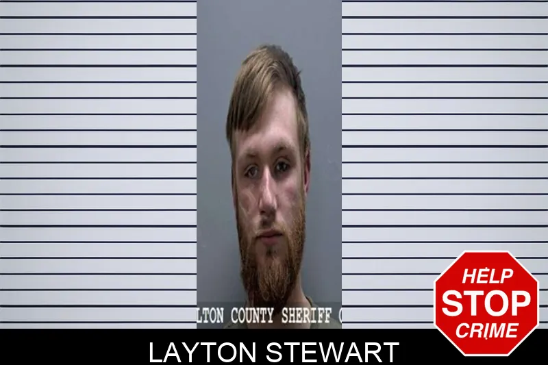 Layton Stewart