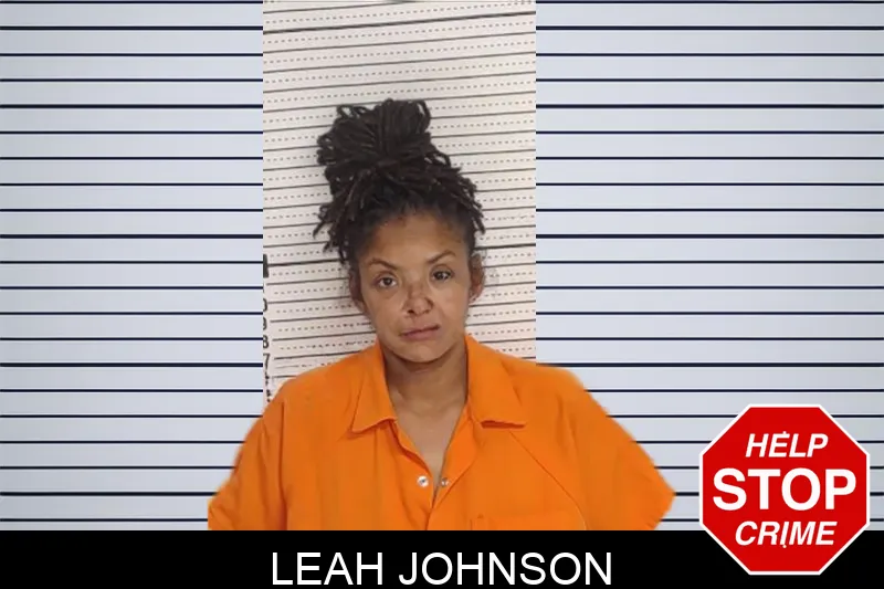 Leah Johnson mugshot