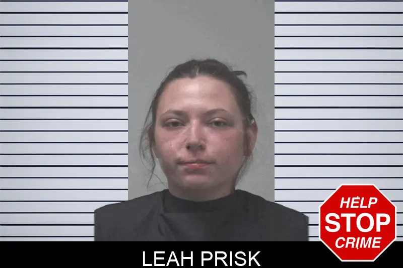 Leah Prisk Mugshots