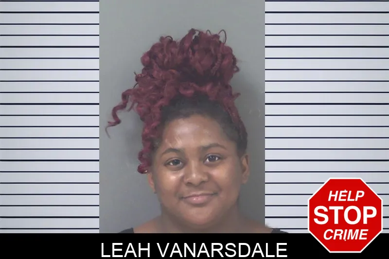 Leah Vanarsdale mugshot