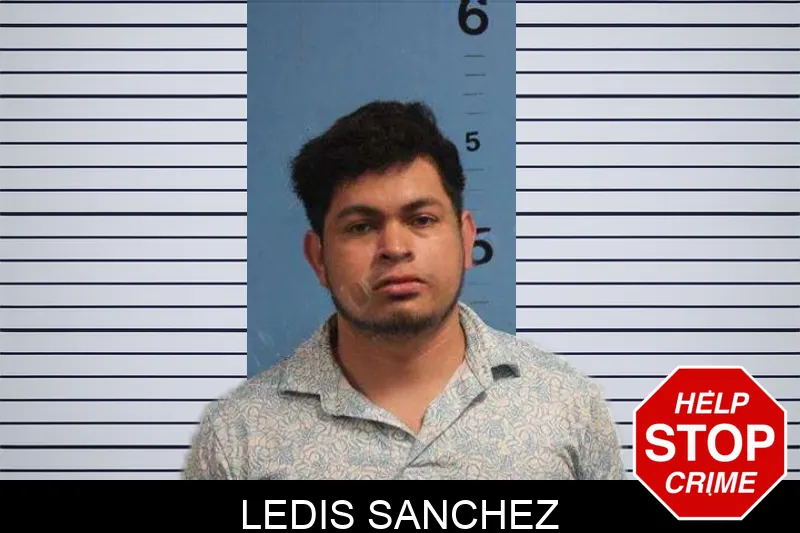 Ledis Sanchez Mugshots