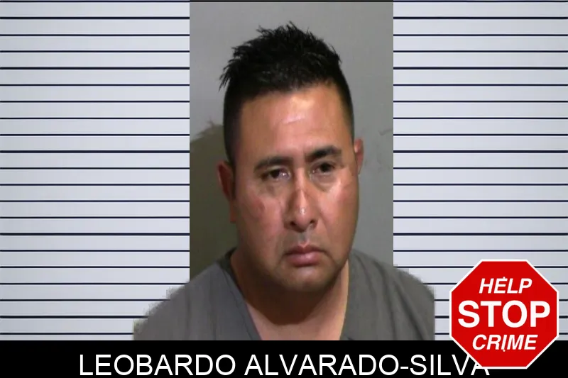 Leobardo Alvarado-Silva