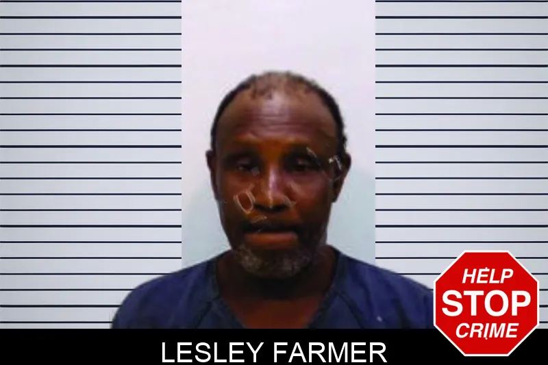 Lesley Farmer Mugshots