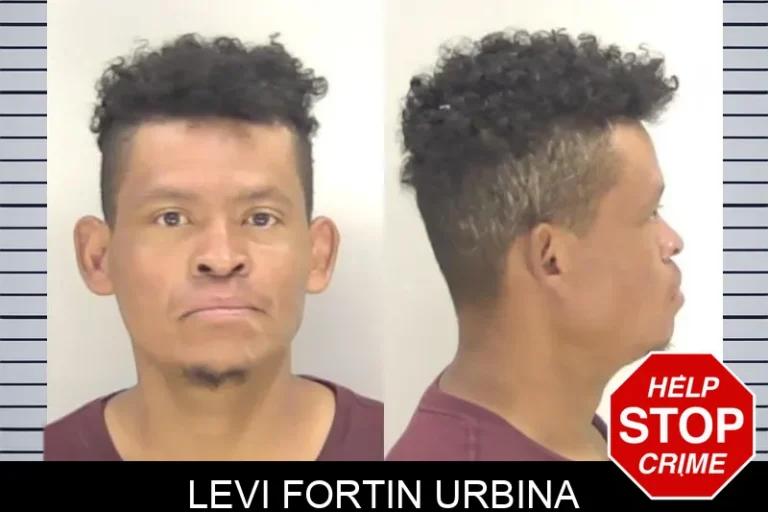 Levi Fortin Urbina