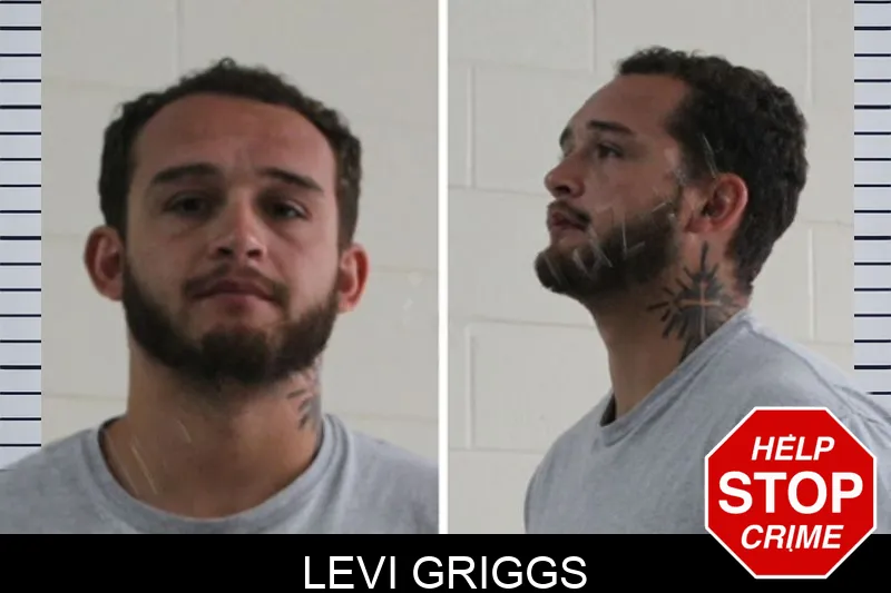 Levi Griggs Mugshots