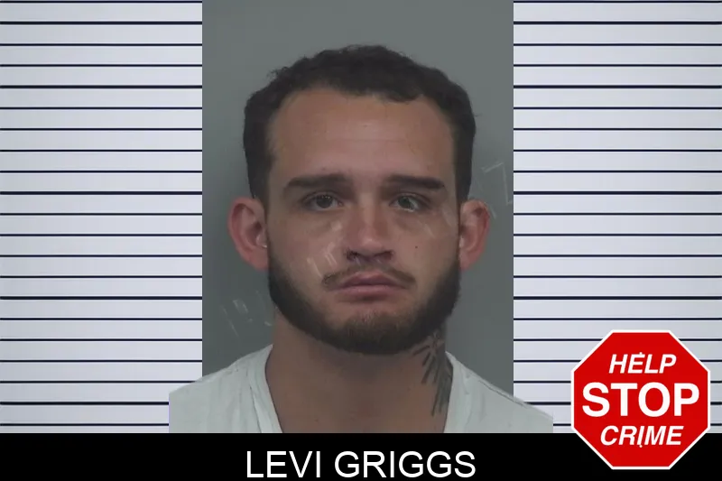 Levi Griggs Mugshots