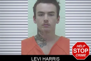 Levi Harris mugshot