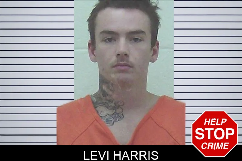 Levi Harris Mugshots