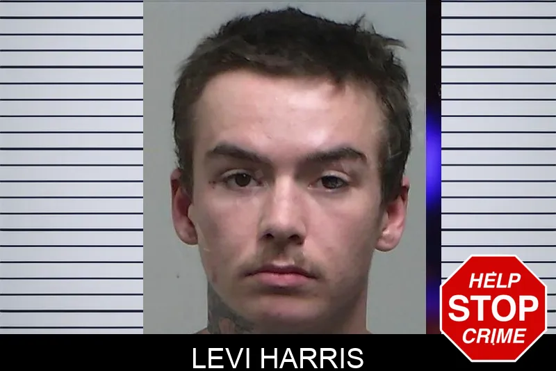 Levi Harris Mugshots