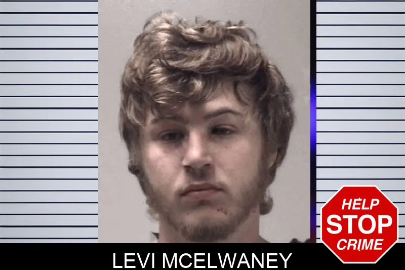 Levi McElwaney Mugshots