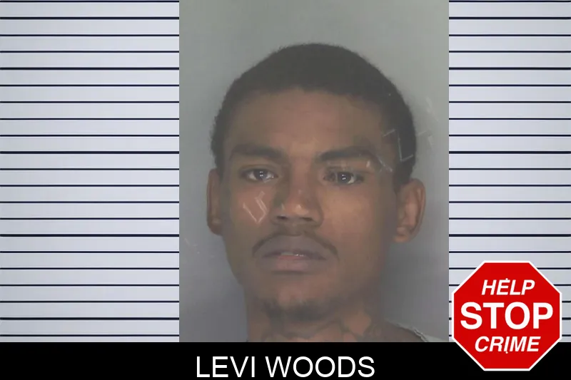 Levi Woods Mugshots