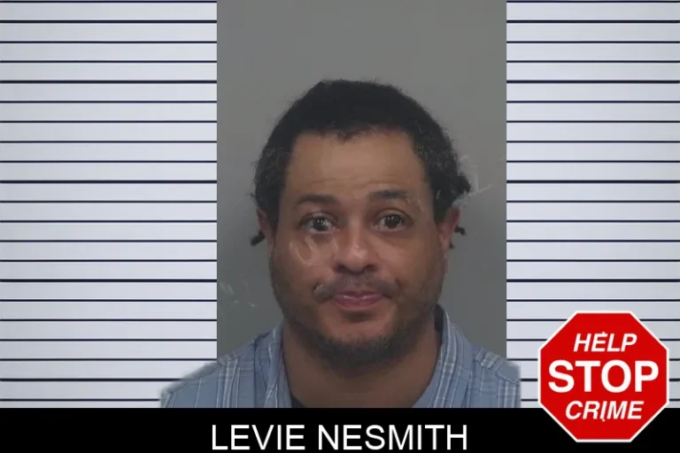 Levie Nesmith mugshot – Gwinnett County , Georgia Levie Nesmith