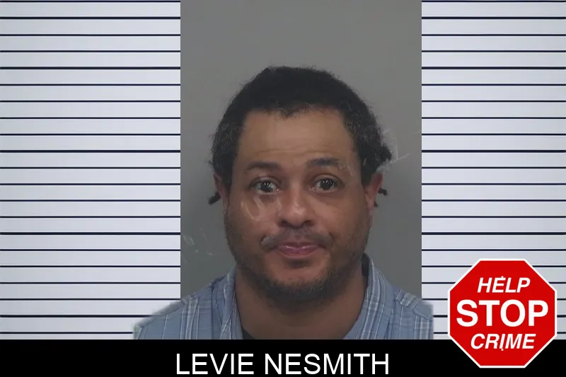 Levie Nesmith mugshot – Gwinnett County , Georgia Levie Nesmith mugshot