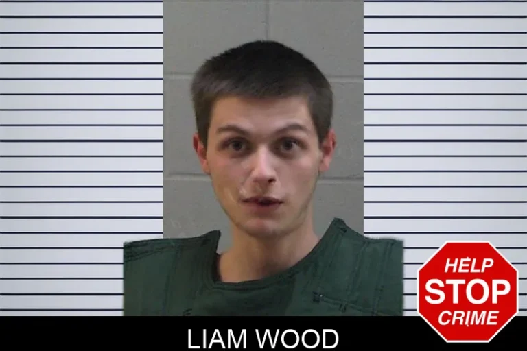 Liam Wood mugshot – Madison County , Georgia Liam Wood