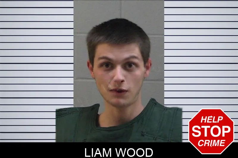 Liam Wood Mugshots