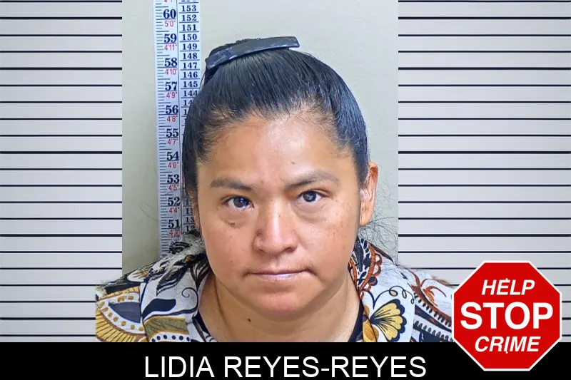 Lidia Reyes-Reyes Mugshots