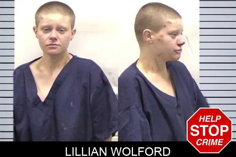 Lillian Wolford Mugshots