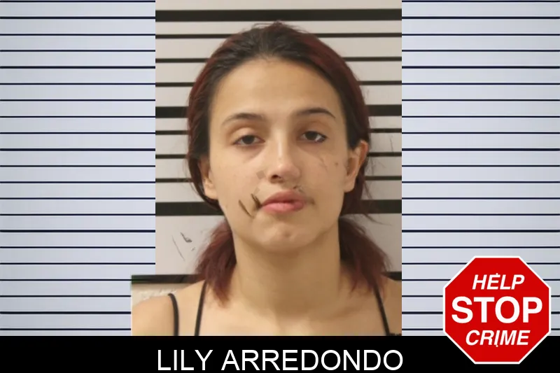 Lily Arredondo Mugshots