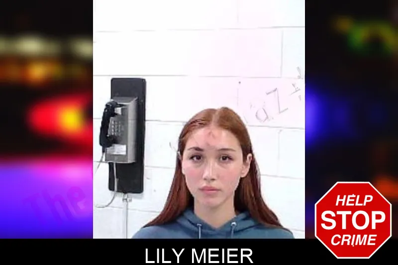 Lily Meier mugshot