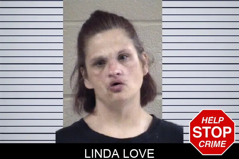 Linda Love Mugshots