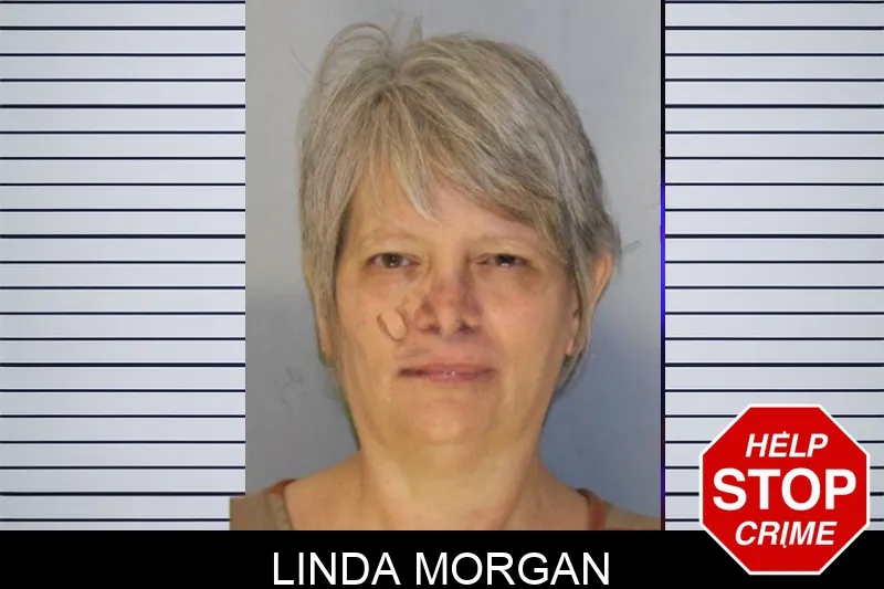 Linda Morgan mugshot – Hall County , Georgia Linda Morgan mugshot