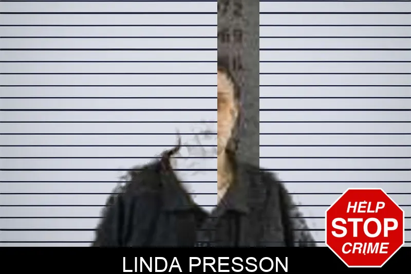 Linda Presson Mugshots