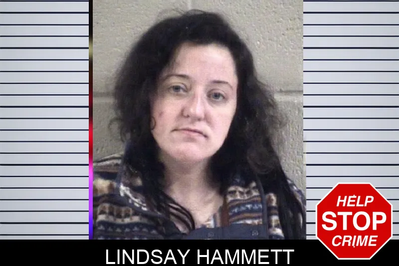 Lindsay Hammett Mugshots