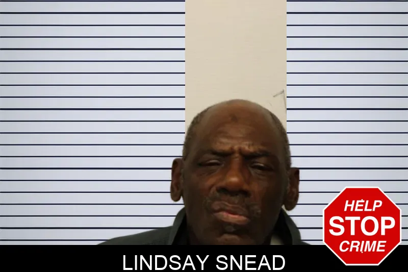 Lindsay Snead mugshot