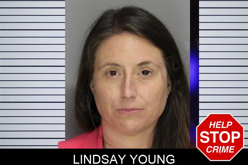 Lindsay Young mugshot – Cobb County , Georgia Lindsay Young mugshot