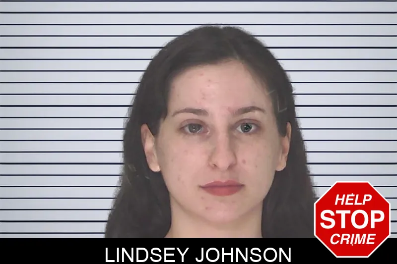 Lindsey Johnson Mugshots