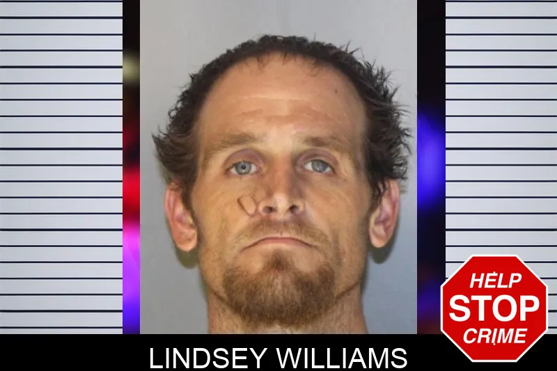 Lindsey Williams Mugshots