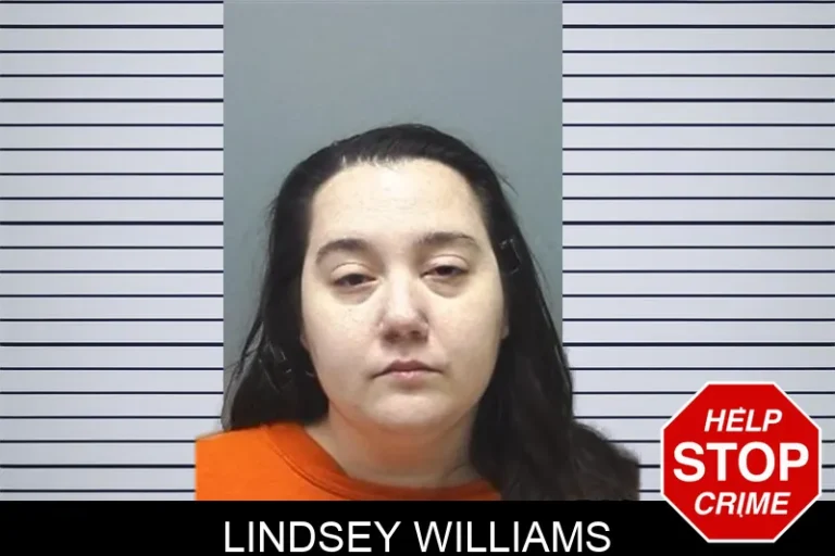 Lindsey Williams mugshot – Cherokee County , Georgia Lindsey Williams