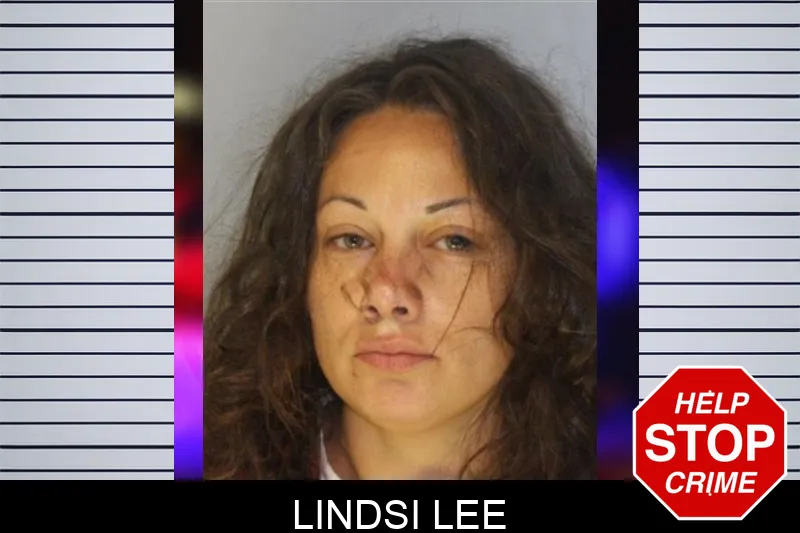 Lindsi Lee Mugshots