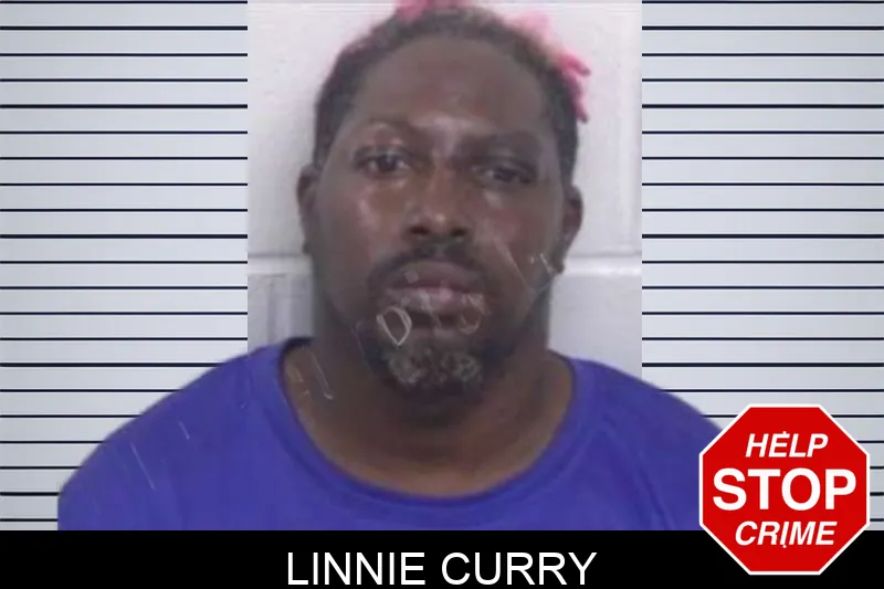 Linnie Curry Mugshots