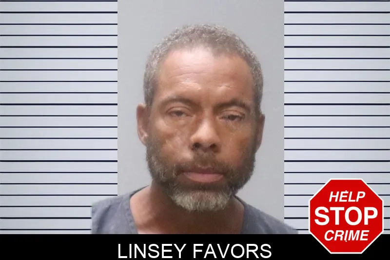 Linsey Favors Mugshots