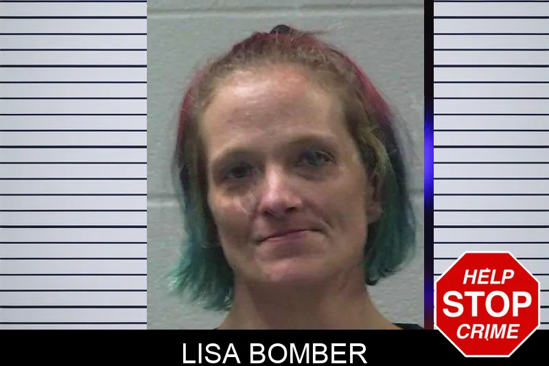 Lisa Bomber mugshot – Gilmer County , Georgia Lisa Bomber mugshot