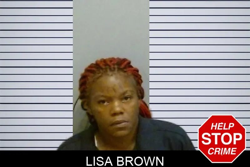 Lisa Brown mugshot