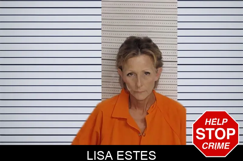 Lisa Estes Mugshots