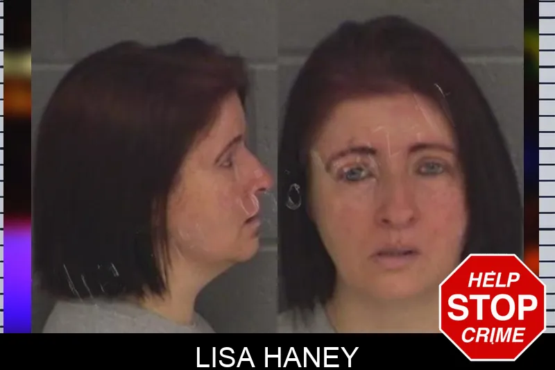 Lisa Haney Mugshots
