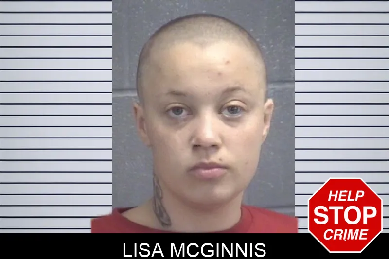 Lisa McGinnis Mugshots